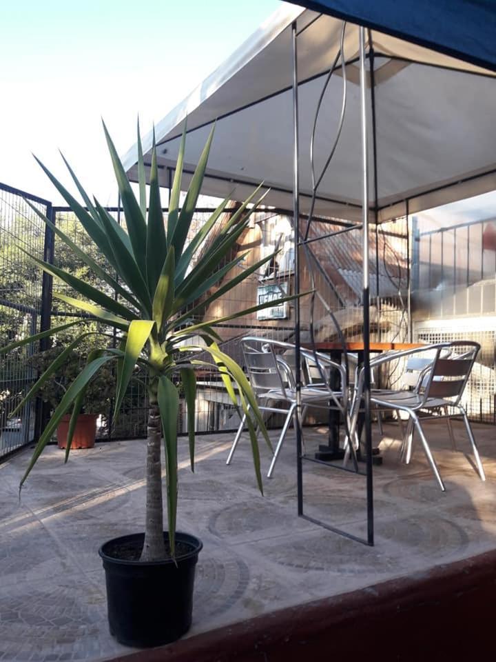 Guest house Cotroneo 2*